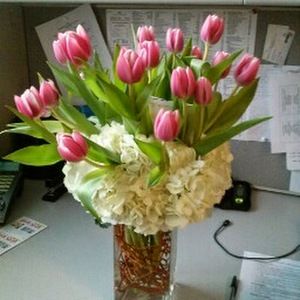 Meet your Posher, Yvette